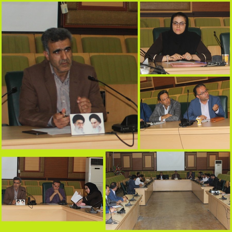 بوشهر| کمیته تخصصی مناسب سازی استان بوشهر تشکیل شد