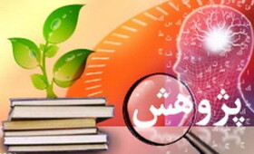 برگزاری دومین نشست شبکه ملی پژوهش و نوآوری بهزیستی با ارائه یافته‌های پژوهش گیلان