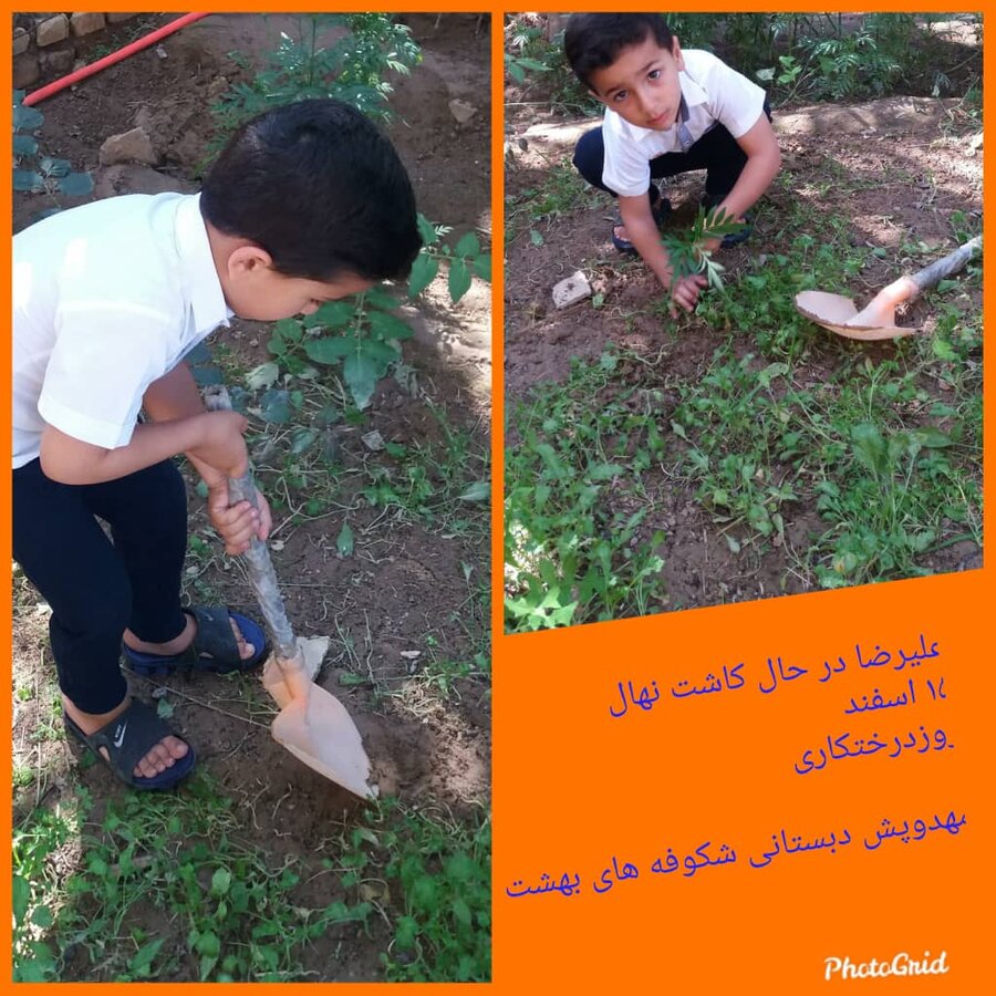 کاربا کودک در خانه،مهدهای کودک خوزستان