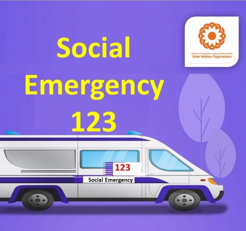  An introduction on Social Emergency Services(123)  
