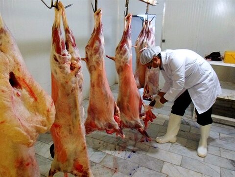 اهدای ۶ راس گوسفند توسط خیران به مددجویان تحت پوشش مدیریت بهزیستی شهرستان بوشهر