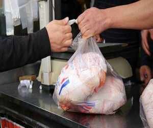 توزیع بیش از ۲ هزار کیلوگرم مرغ یارانه ای به مددجویان بهزیستی شیروان
