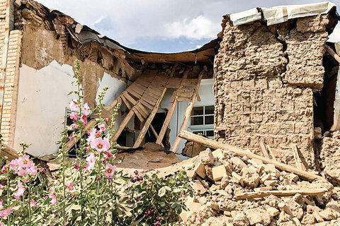خسارت ۱۰۰ درصدی زلزله به ۱۵خانوار تحت پوشش بهزیستی
