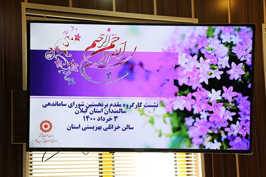 نشست کارگروه مقدم بر نخستین شورای ساماندهی سالمندان استان گیلان برگزار شد.