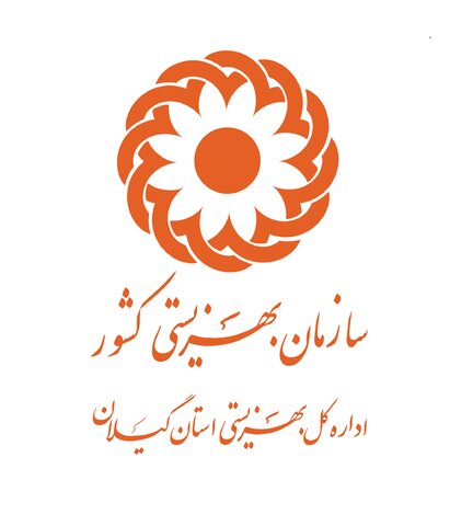 آغاز اجرای طرح مشارکت اجتماعی نوجوانان ایران در جهت ارتقای سلامت اجتماعی (مانا) اول تیرماه 1400