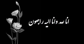 پیام تسلیت مدیرکل بهزیستی استان تهران در پی درگذشت همکار ستاد پذیرش و هماهنگی