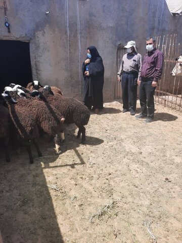 تشکیل شورای  ( cbr) در روستای مرادتپه و صحت آباد با حضور شوراهای دو روستا و رئیس بهزیستی