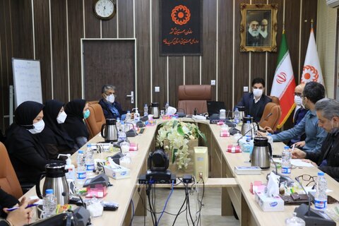 برگزاری جلسه کمیته تخصصی ستاد هماهنگی و پیگیری مناسب سازی استان گیلان 