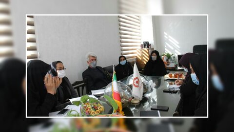 کمیته استانی برنامه اگاهسازی پیشگیری از معلولیتها در فارس برگزار شد