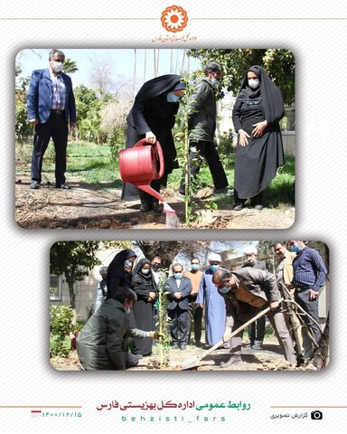 گزارش تصویری/مراسم کاشت نهال در اداره کل بهزیستی فارس
