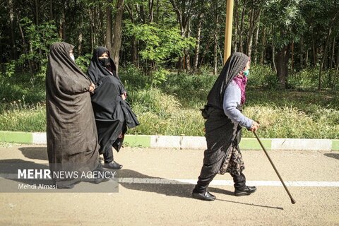 در رسانه| گزارش تصویری خبرگزاری مهر از همایش پیاده روی سالمندان در زنجان