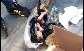 انتقال نوزاد رها شده در سطل زباله به بهزیستی/حال نوزاد خوب است