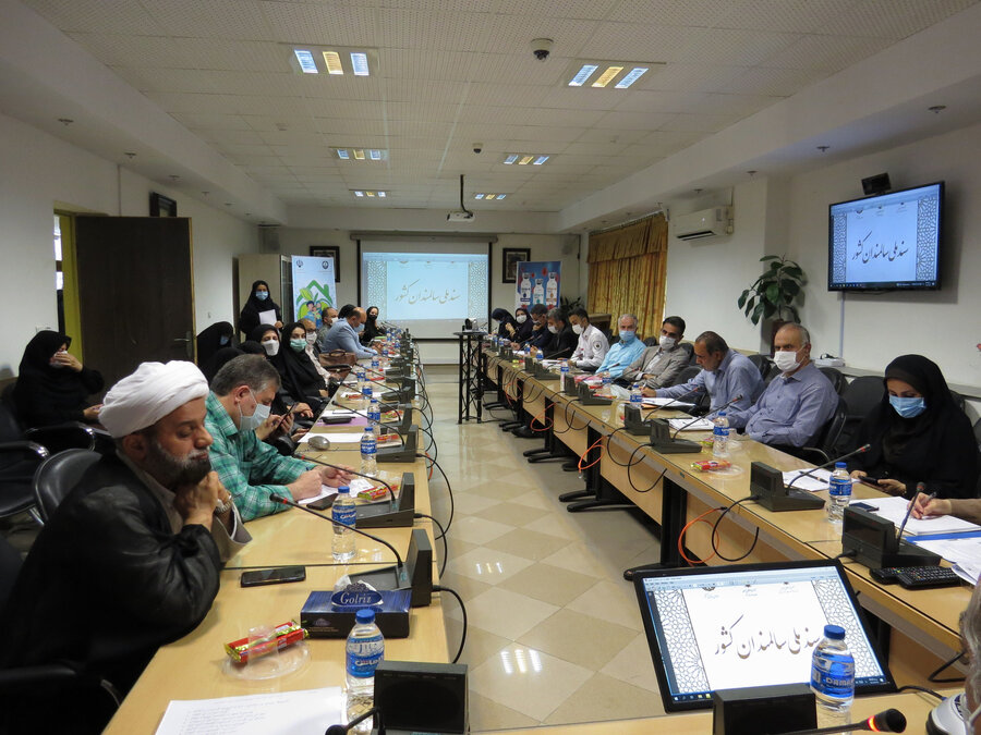 نخستین کمیته تخصصی سلامت و بیمه ای ذیل شورای ساماندهی سالمندان استان