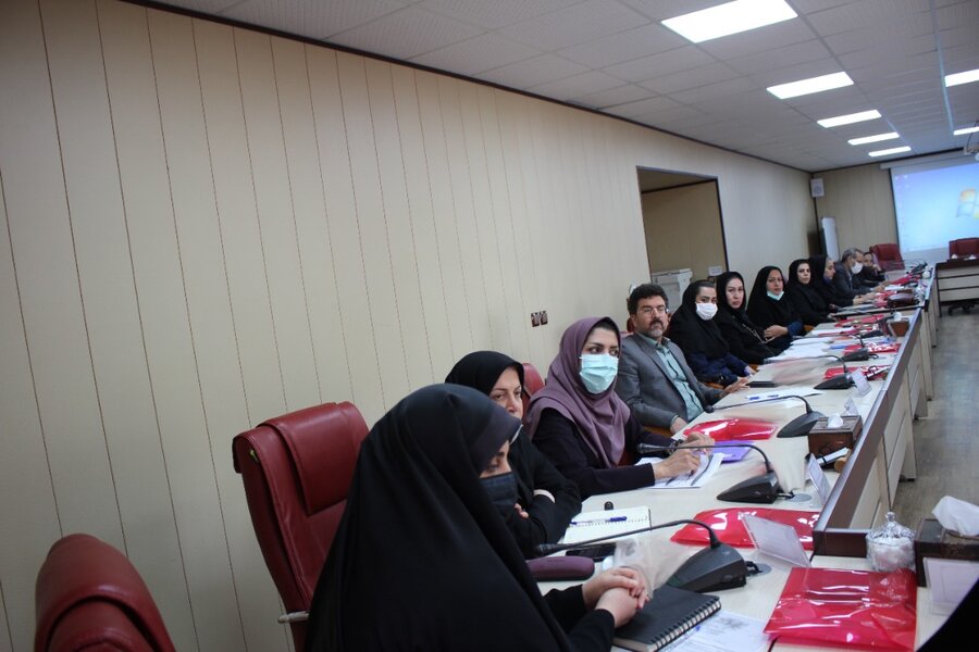 نشست هم اندیشی مدیرکل دفتر توانمندسازی خانواده و زنان بهزیستی کشور با مسئولین بهزیستی استان البرز