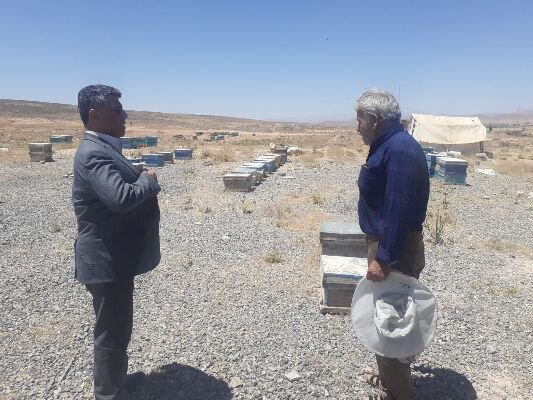 چادگان| افتتاح طرحهای مسکن و اشتغال با حضور معاون مشارکتهای مردمی