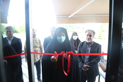 یک طرح اشتغالزایی با حضور مدیر کل بهزیستی مازندران در شهرستان ساری افتتاح شد