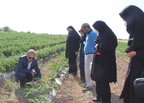سمیرم|گزارش تصویری| افتتاح طرحهای مسکن و اشتغال