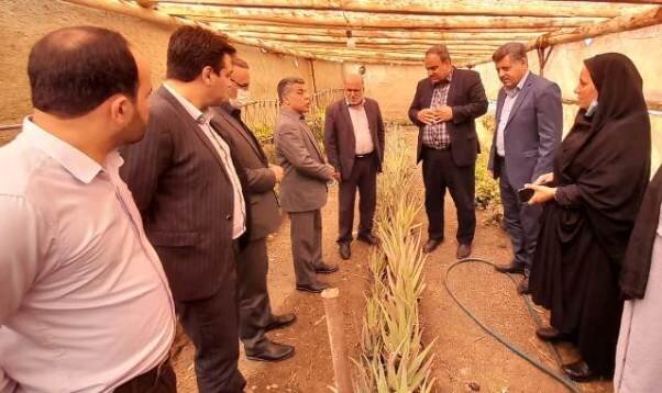 نطنز| آیین افتتاح طرحهای اشتغال و مسکن مددجویان