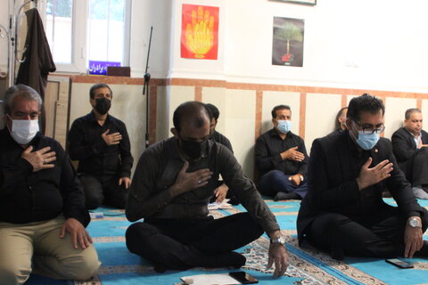 مراسم زیارت عاشورا بوشهر