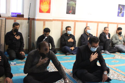 مراسم زیارت عاشورا بوشهر