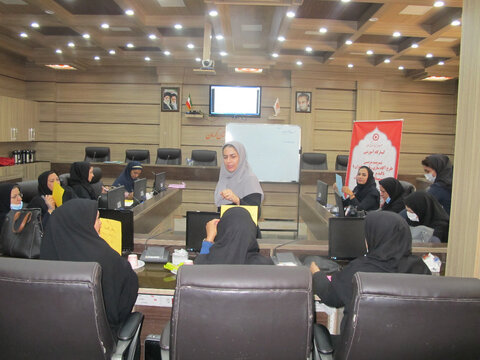 کارگاه آموزشی تربیت مربی  خودمراقبتی تسهیلگران استان برگزار شد