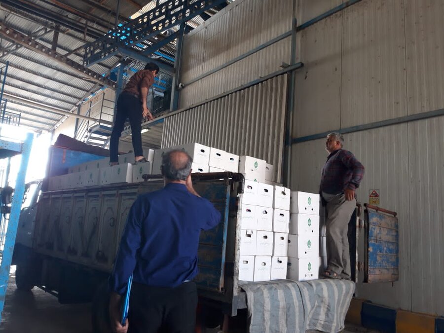 سیمرغ| توزیع ۴۵۰ بسته لبنیات بین مددجویان بهزیستی در شهرستان سیمرغ