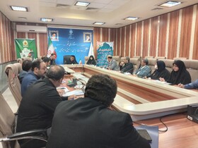 تشکیل جلسه گروه کاری کنترل وکاهش آسیبهای اجتماعی استان