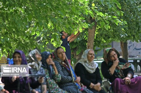 در رسانه| زنجان با بیش از یک میلیون نفر جمعیت ۱۰۰ هزار سالمند دارد