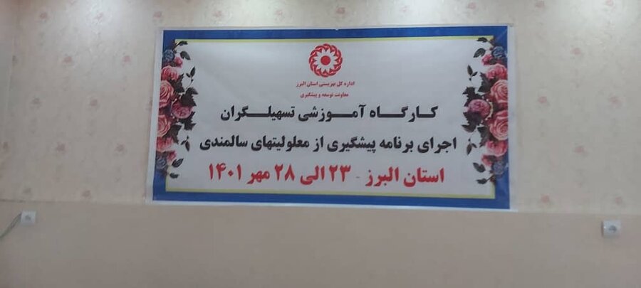 کارگاه تخصصی ویژه اجرای طرح پیشگیری از معلولیت های دوران سالمندی برگزار شد