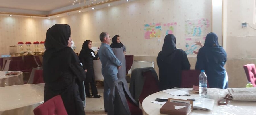 کارگاه تخصصی ویژه اجرای طرح پیشگیری از معلولیت های دوران سالمندی برگزار شد