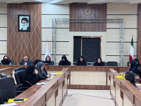 گزارش تصویری|دوره آموزش تخصصی پروژه نویسی اجتماعی  ویژه مراکز غیر دولتی تحت نظارت اداره کل بهزیستی فارس