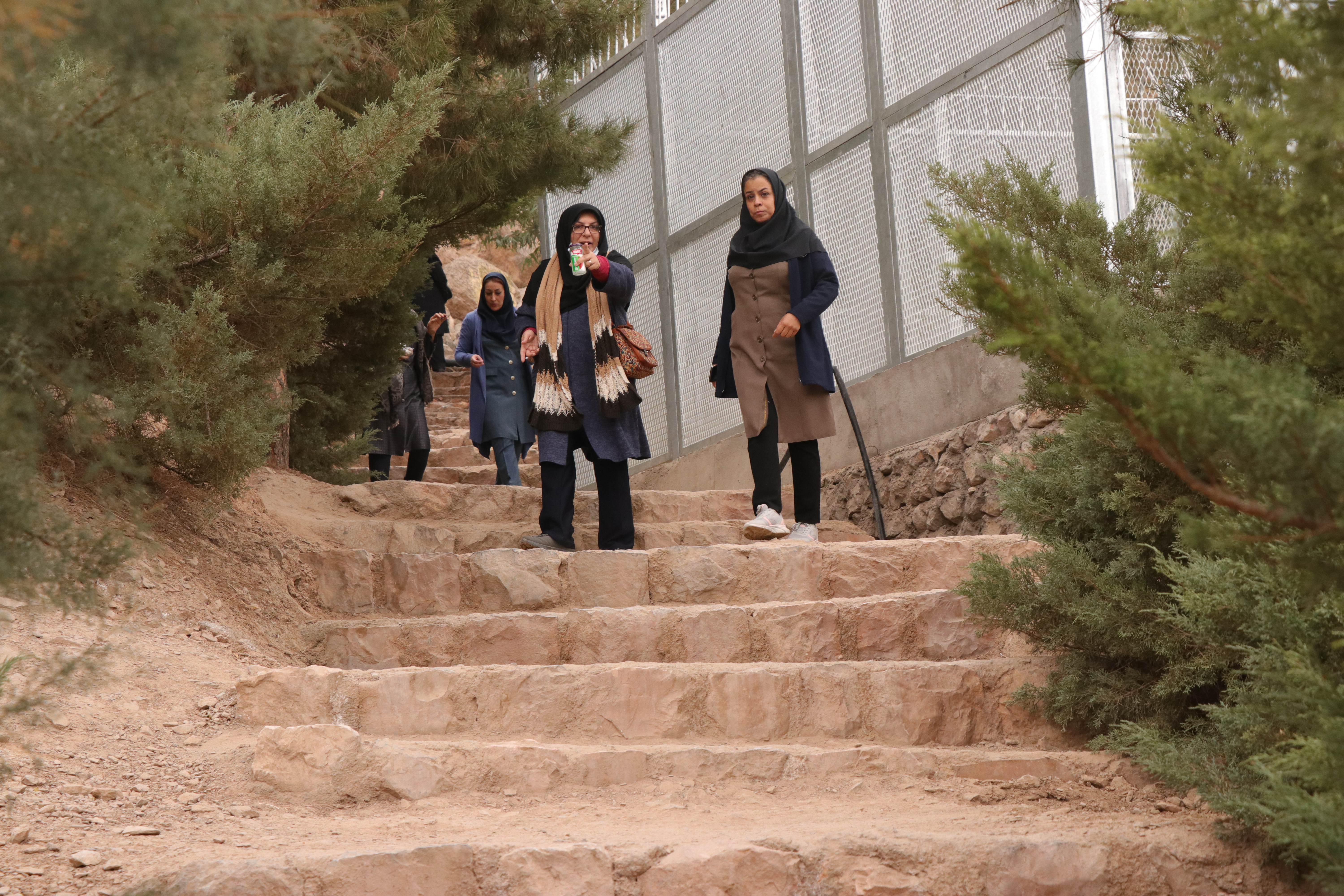 اجرای برنامه فرهنگی تفریحی کوه پیمایی جهت کارکنان بهزیستی کرمان