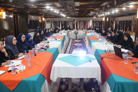 کارگاه آموزشی خشونت خانگی و راههای مداخله‌ای در بوشهر برگزار شد