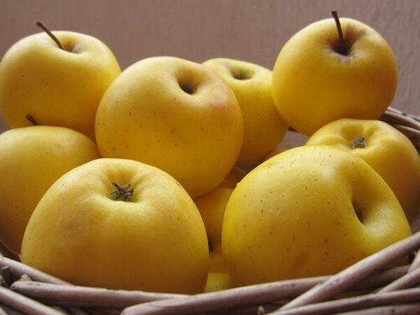 اهداء ۹۰۰ کیلو سیب توسط خیرین شهرستان های نیر و میانه به بهزیستی نیر