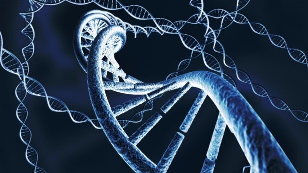 ارائه مشاوره ژنتیک به ۱۲۰ هزار نفر از ابتدای امسال