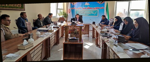 🔷🔶 ششمین جلسه کمیته سرمایه انسانی بریاست مدیر کل بهزیستی استان برگزار شد