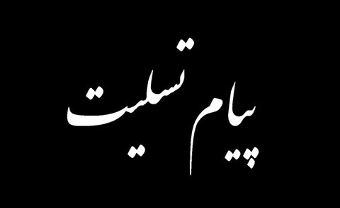 پیام تسلیت مدیر کل بهزیستی خوزستان در پی درگذشت مادر شهیدان صالحپور