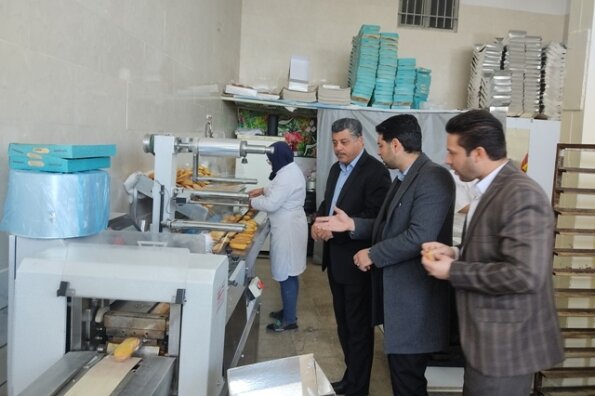 خوانسار| افتتاح طرحهای اشتغال به مناسبت دهه مبارک فجر