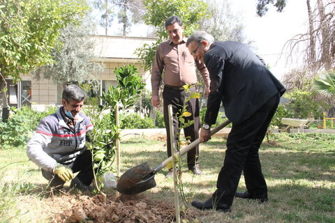 گزارش تصویری|مراسم درختکاری و تقدیر از باغبان اداره کل توسط مدیر کل و معاونین بهزیستی فارس