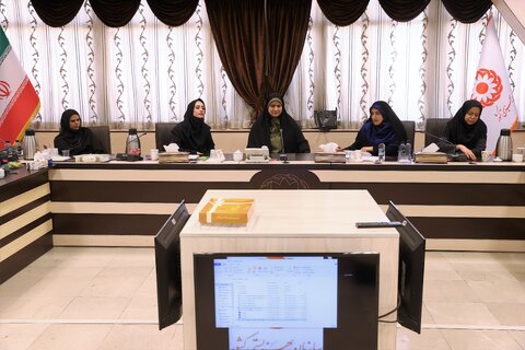 نشست تخصصی کارشناسان مسئول استانی با تاکید بر توانمندسازی بانوان سرپرست خانوار