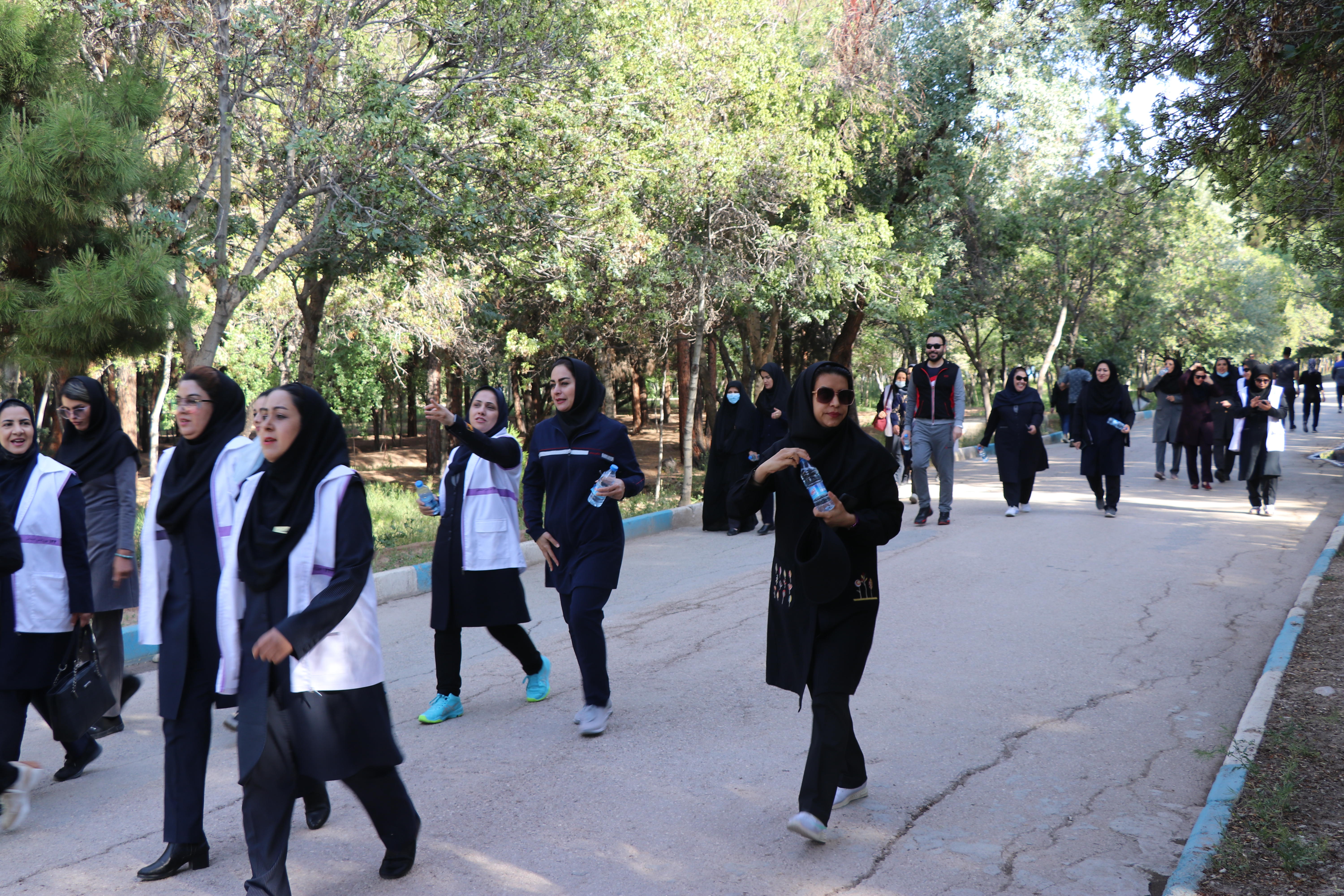 تجلیل از روانشناسان و مشاوران اورژانس اجتماعی و مراکز امورآسیب دیدگان اجتماعی از سوی بهزیستی استان کرمان