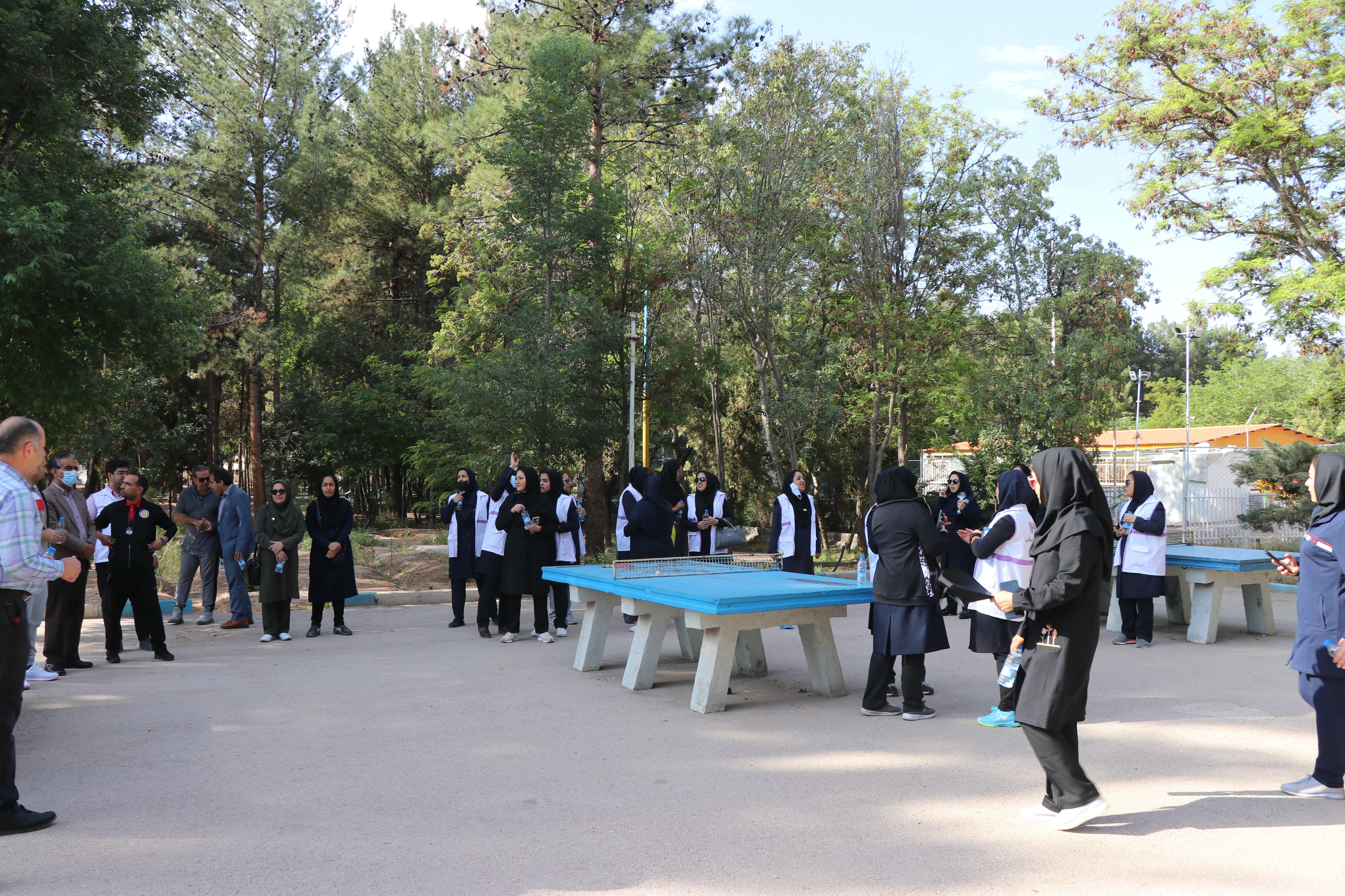 تجلیل از روانشناسان و مشاوران اورژانس اجتماعی و مراکز امورآسیب دیدگان اجتماعی از سوی بهزیستی استان کرمان