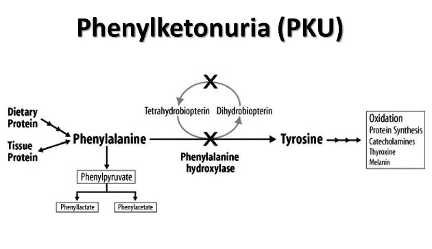 2900patients with Phenylketonuria (PKU) receive services from SWO