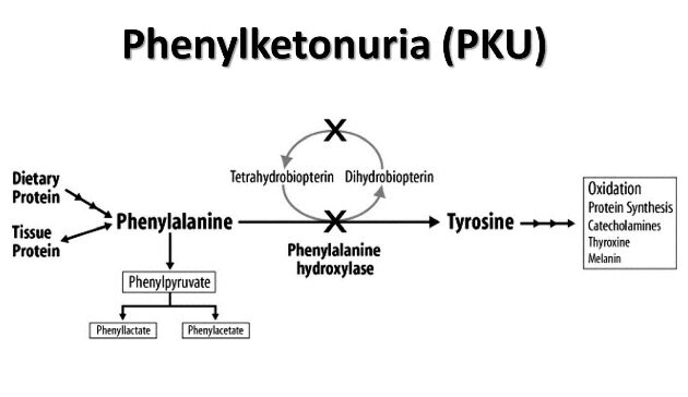  2900patients with Phenylketonuria (PKU) receive services from SWO 