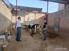 کرمانشاه / دیدار مدیرکل بهزیستی استان با مددجوی کارآفرین شهرستان صحنه‌
