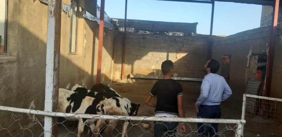 مددجوی کارآفرین شهرستان صحنه