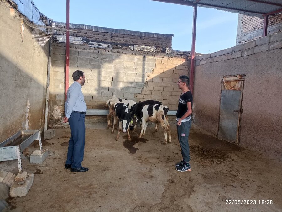 مددجوی کارآفرین شهرستان صحنه