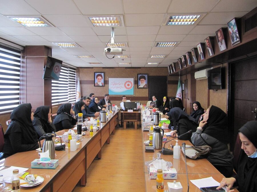 چهارمین کار گروه ویژه فرزند خواندگی برگزار شد