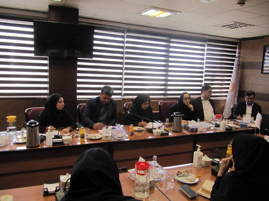 چهارمین کار گروه ویژه فرزند خواندگی برگزار شد