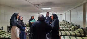 راه اندازی اولین مرکز ماده ۱۶ بانوان در اصفهان